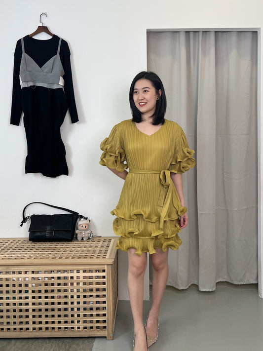Pleated Raffles Dress
