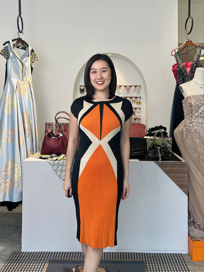 Pleated Cat Print Dress