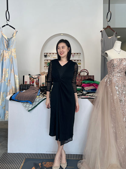 Pleated Mesh Sleeve Dress