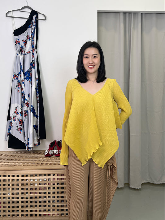 Pleated Feminine Blouse